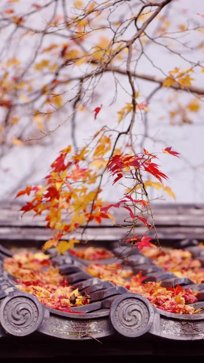风景壁纸