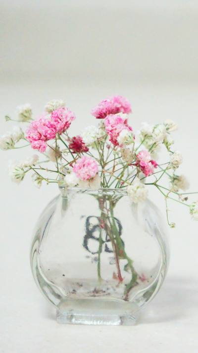 小清新壁纸