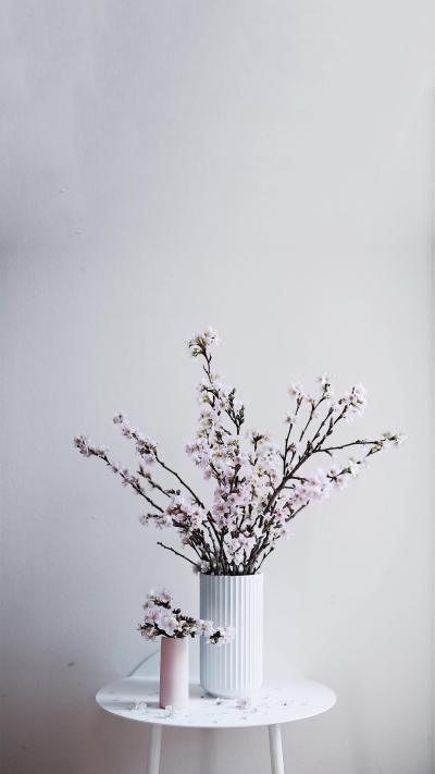 小清新壁纸