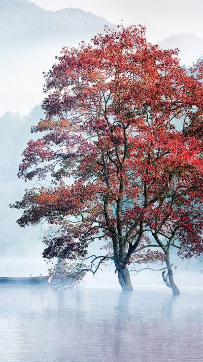 风景壁纸