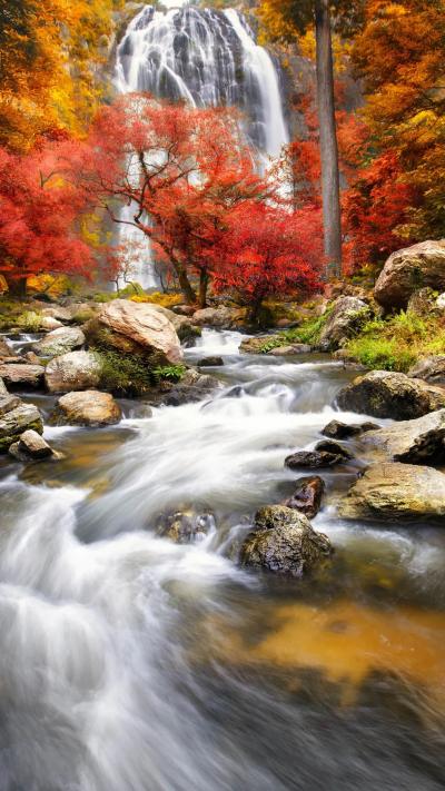 风景壁纸