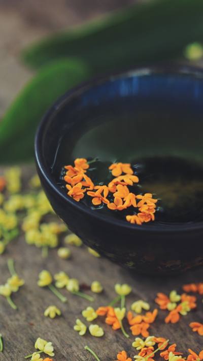 风景壁纸