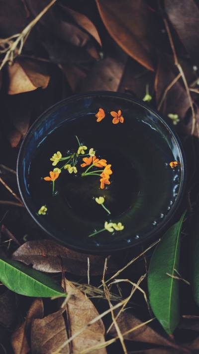风景壁纸