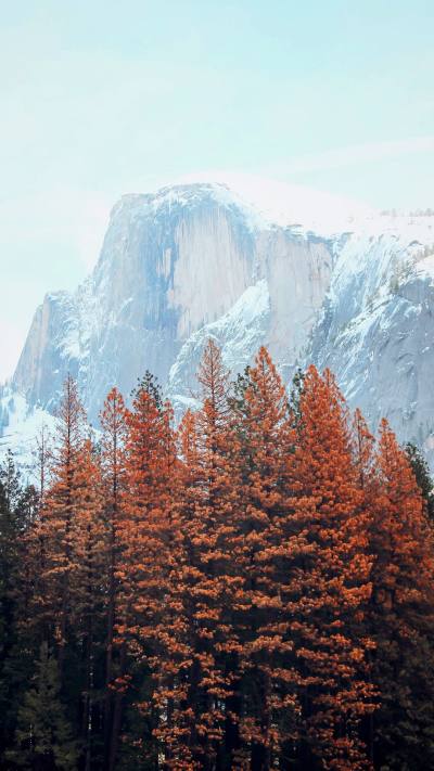 风景壁纸