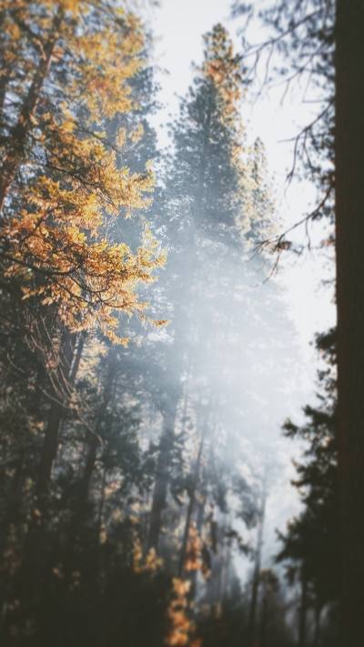 风景壁纸