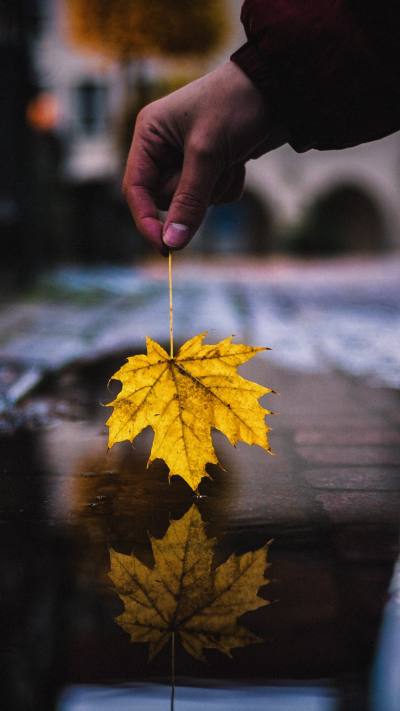 风景壁纸