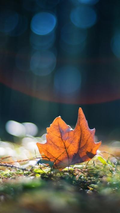 风景壁纸