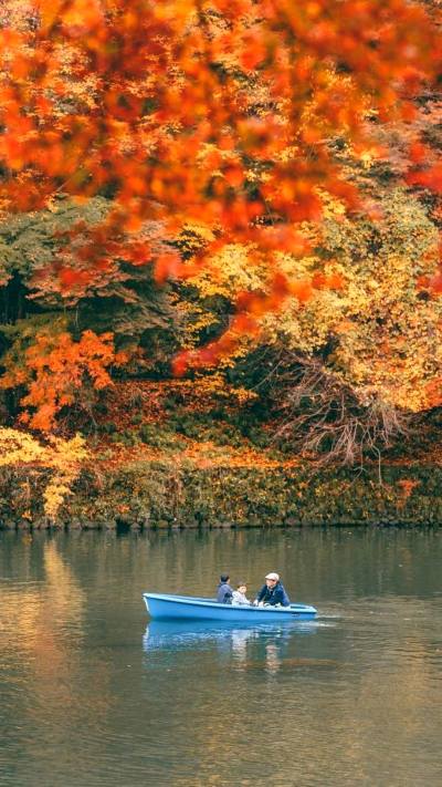风景壁纸