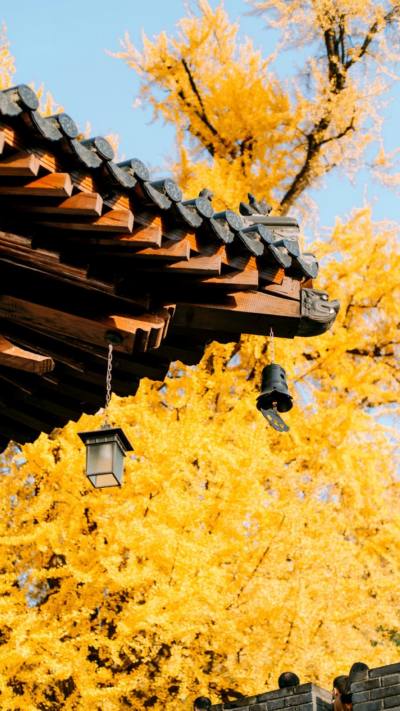 风景壁纸