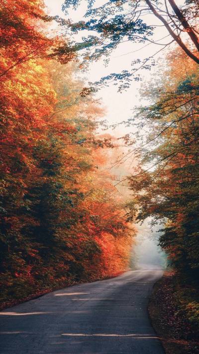 风景壁纸
