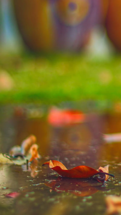 风景壁纸