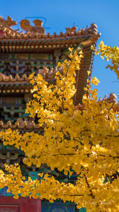 风景壁纸
