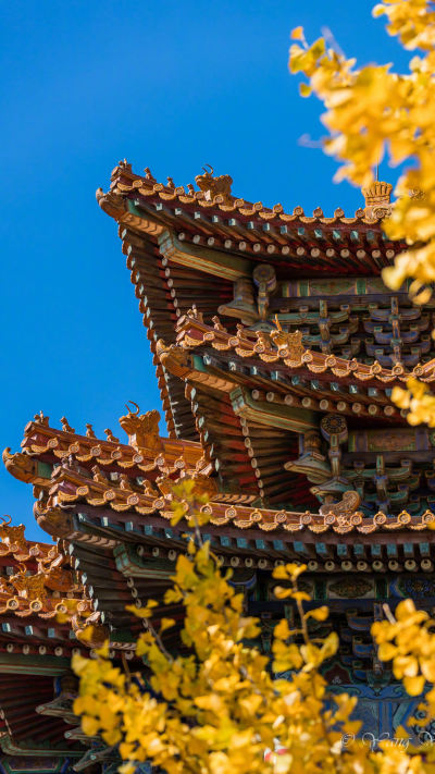 风景壁纸