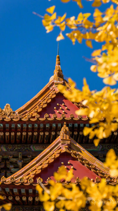 风景壁纸