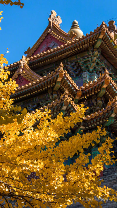 风景壁纸