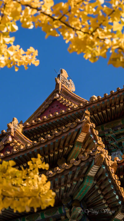 风景壁纸