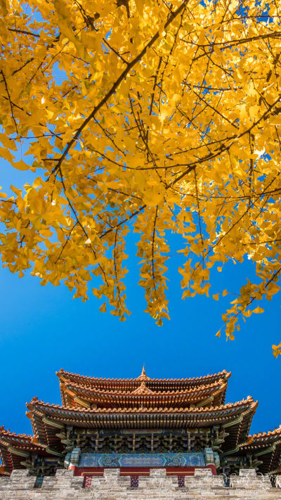 风景壁纸
