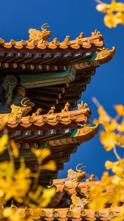 风景壁纸