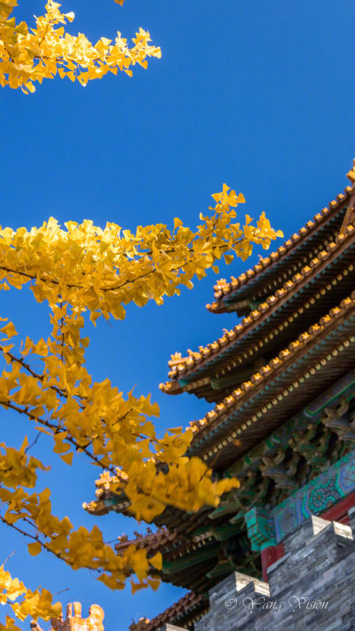 风景壁纸