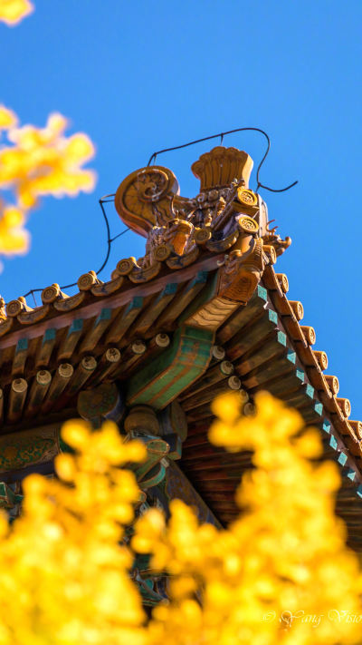 风景壁纸