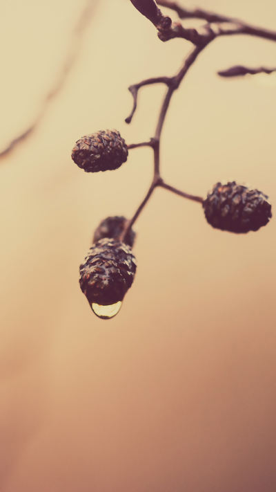 风景壁纸