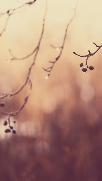 风景壁纸