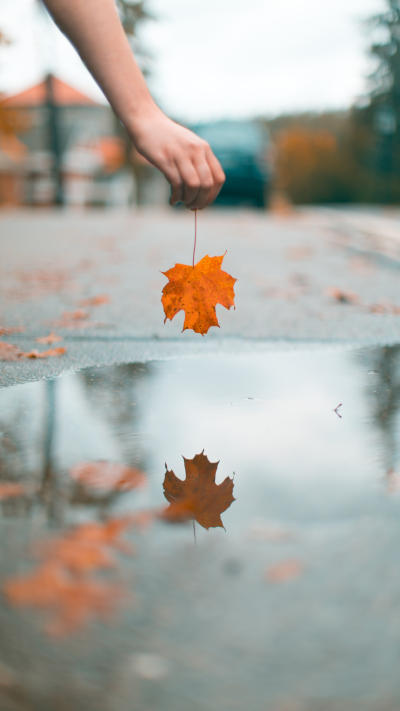 风景壁纸