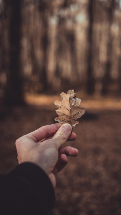 风景壁纸