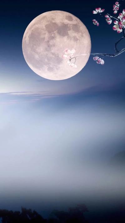 节日壁纸