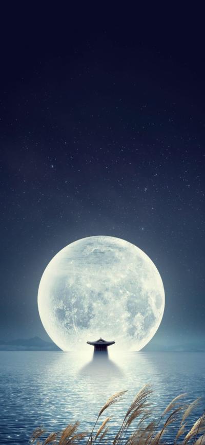 节日壁纸