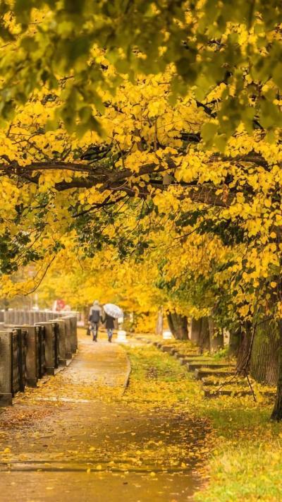 风景壁纸
