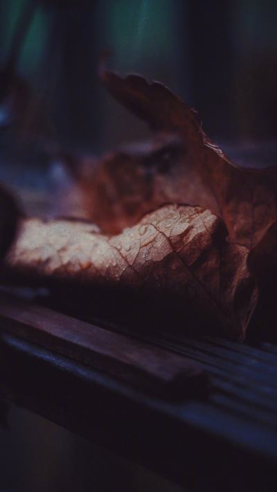 风景壁纸