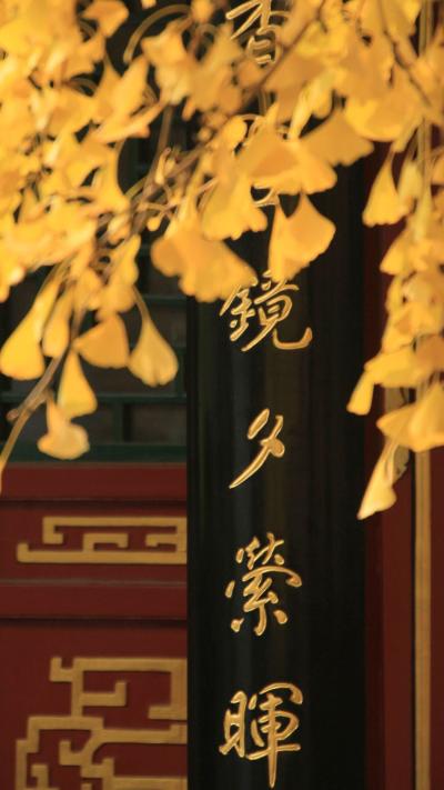 风景壁纸