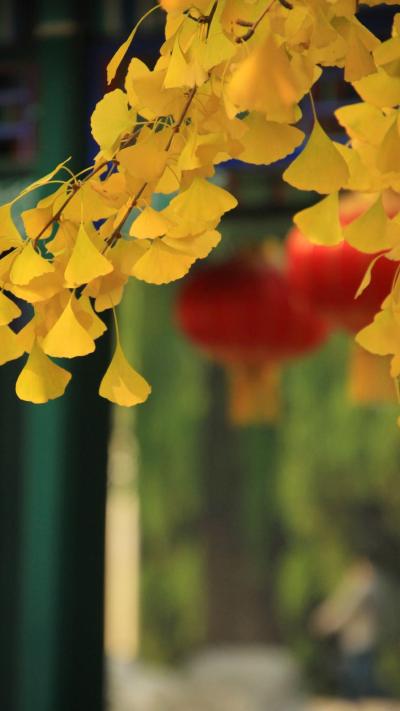 风景壁纸