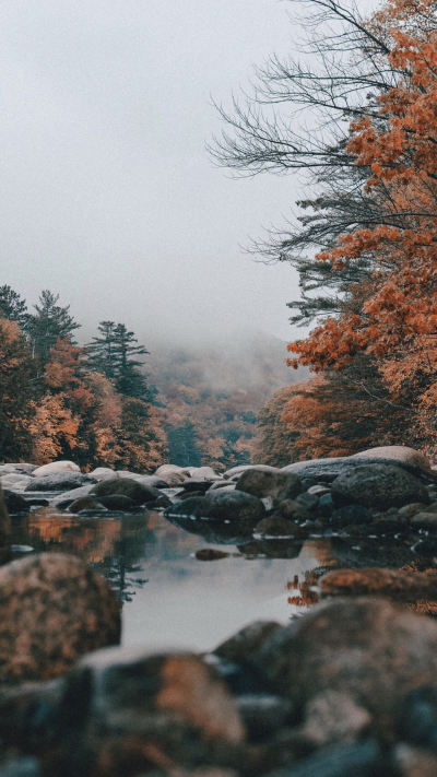 风景壁纸