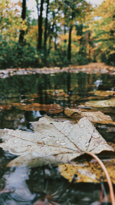 风景壁纸