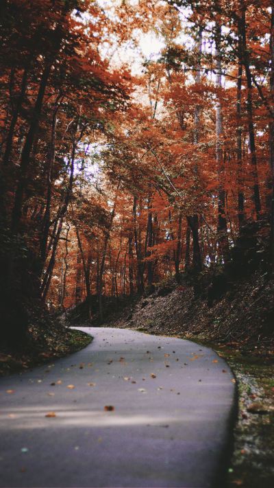 风景壁纸