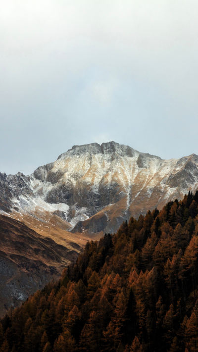 风景壁纸