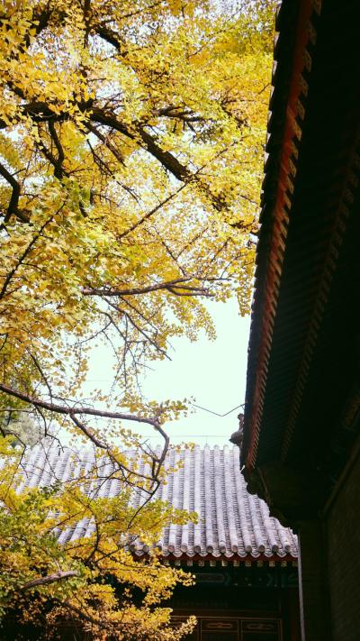 风景壁纸