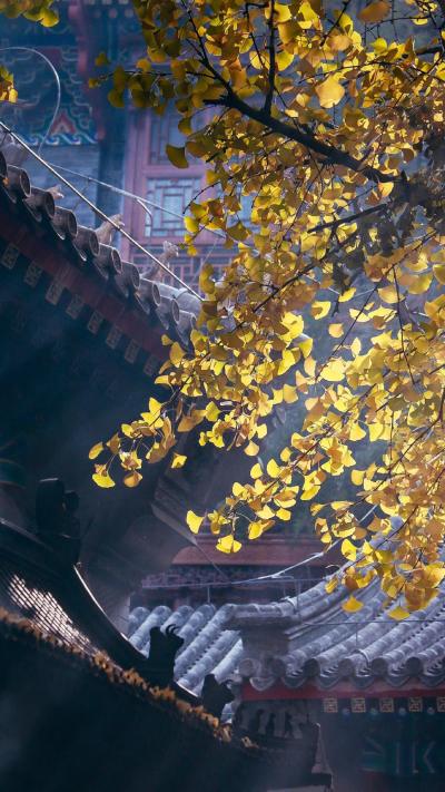风景壁纸