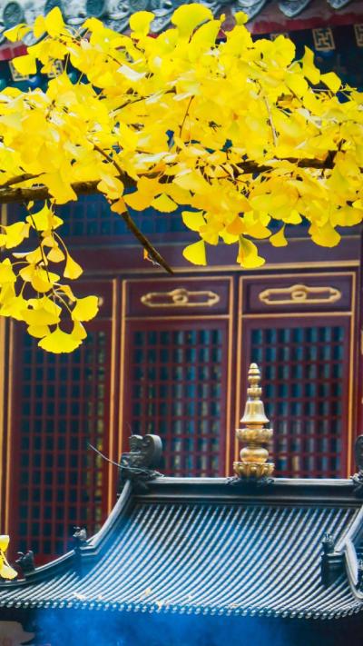 风景壁纸