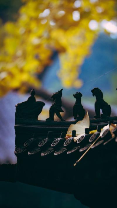 风景壁纸