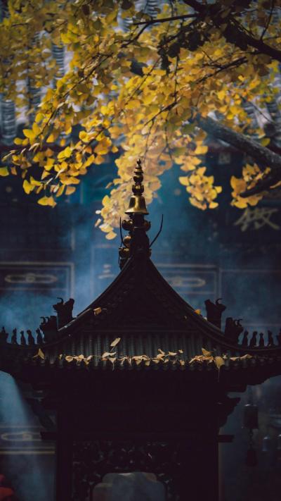 风景壁纸