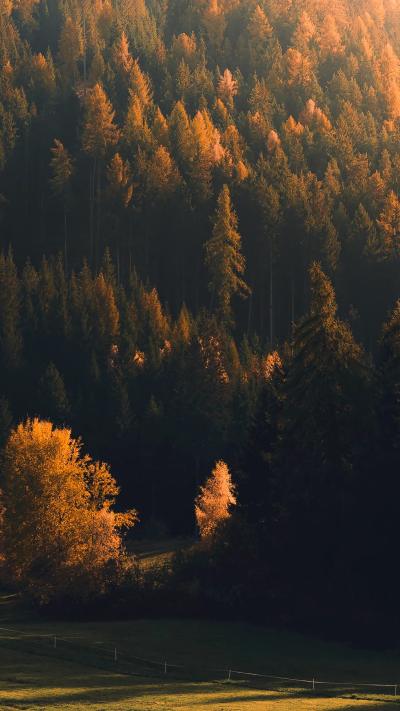 风景壁纸