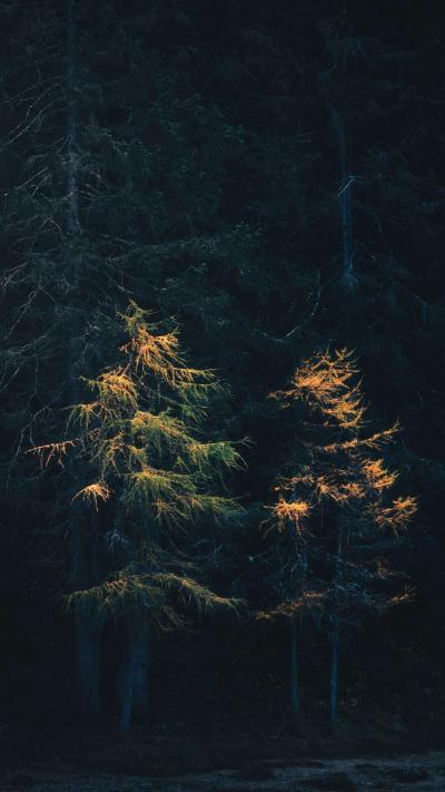 风景壁纸