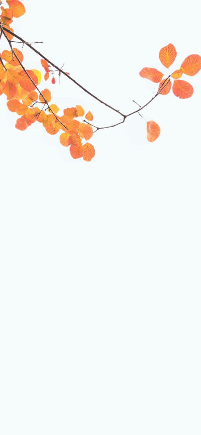 风景壁纸