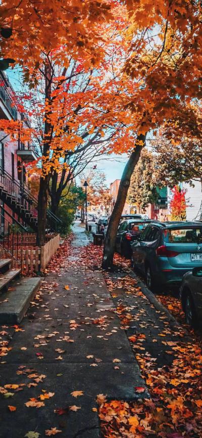 风景壁纸