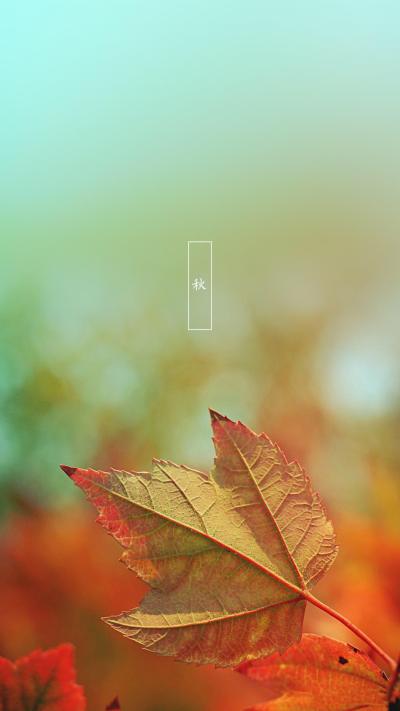 风景壁纸