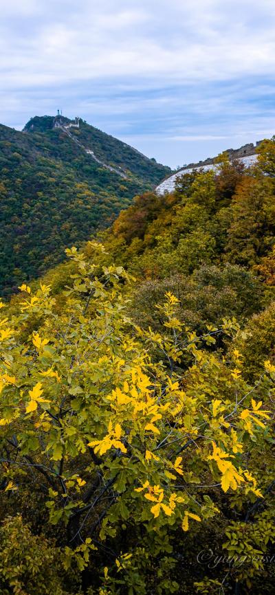 风景壁纸