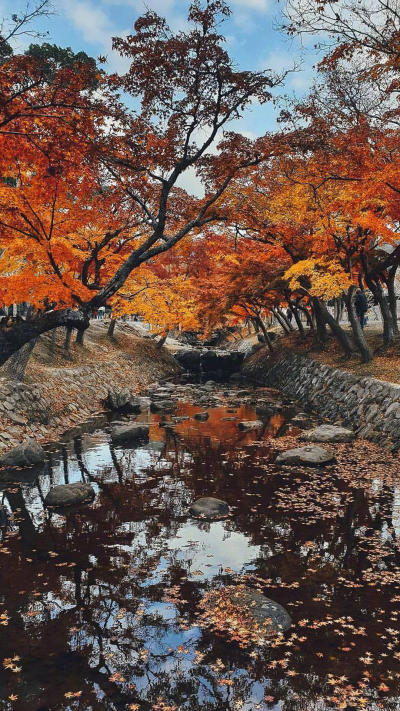 风景壁纸
